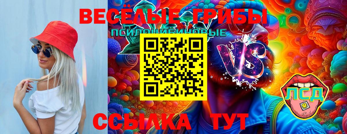 Галлюциногенные грибы MAGIC MUSHROOMS  Вход с VPN  Сыктывкар 